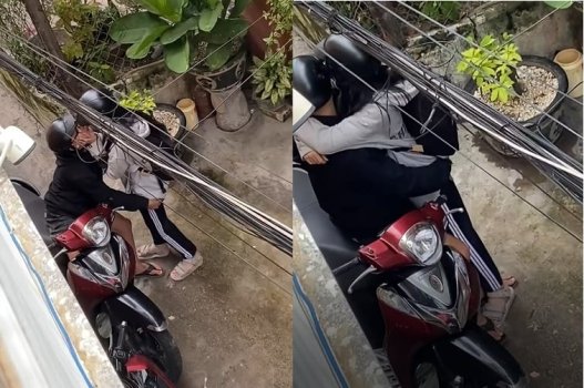 Genz bướm hư hỏng có hương thơm đặc biệt